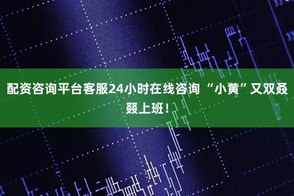 配资咨询平台客服24小时在线咨询 “小黄”又双叒叕上班！